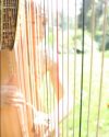 Vancouver wedding harpist Elisa Thorn