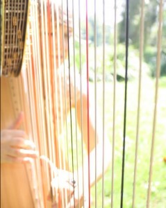Vancouver wedding harpist Elisa Thorn