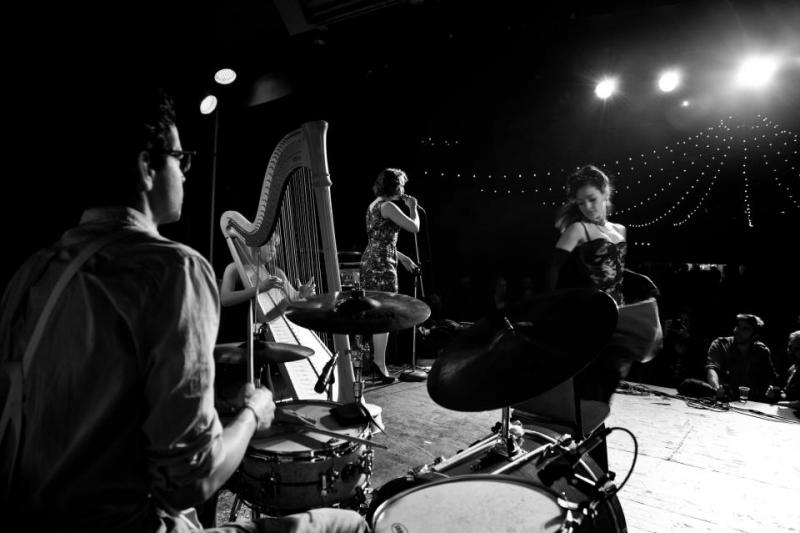 Harped Harlots live music burlesque